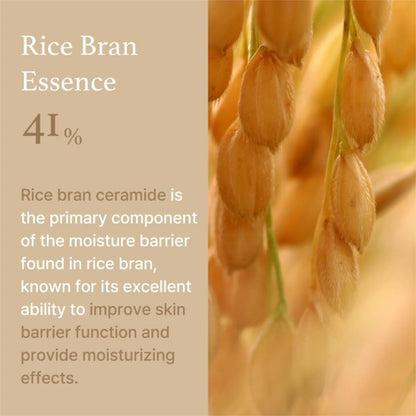 Máscara facial de arroz I'm From Rice Mask com 41% de Ceramida